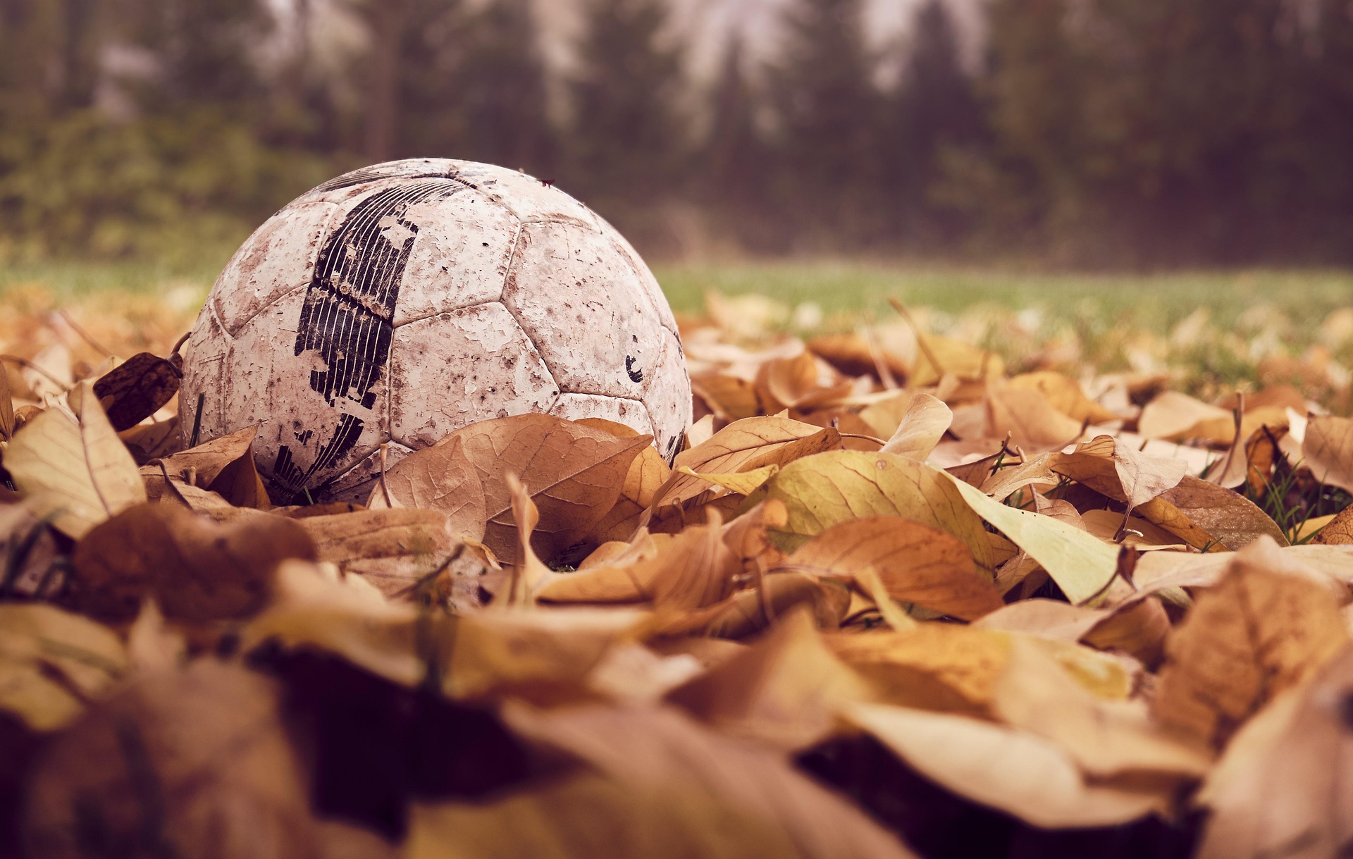 Old football ball on top of the leaves