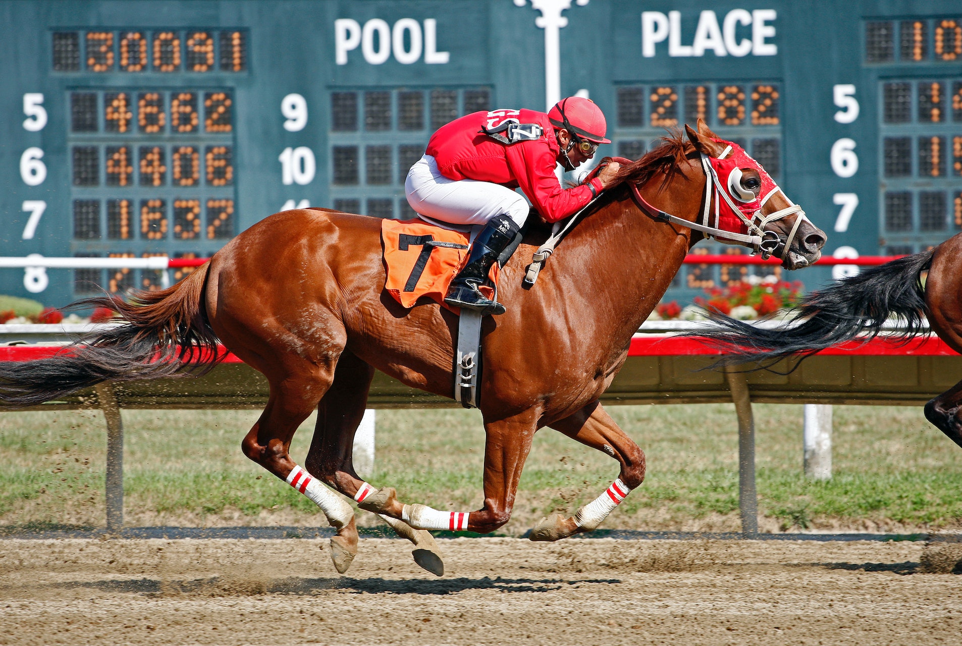 Box Horse Racing - Tips For Maximizing Your Betting Experience