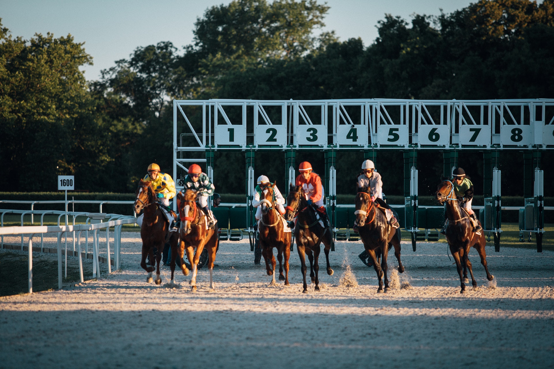 Pick 3 Horse Racing - Mastering The Art Of Wagering