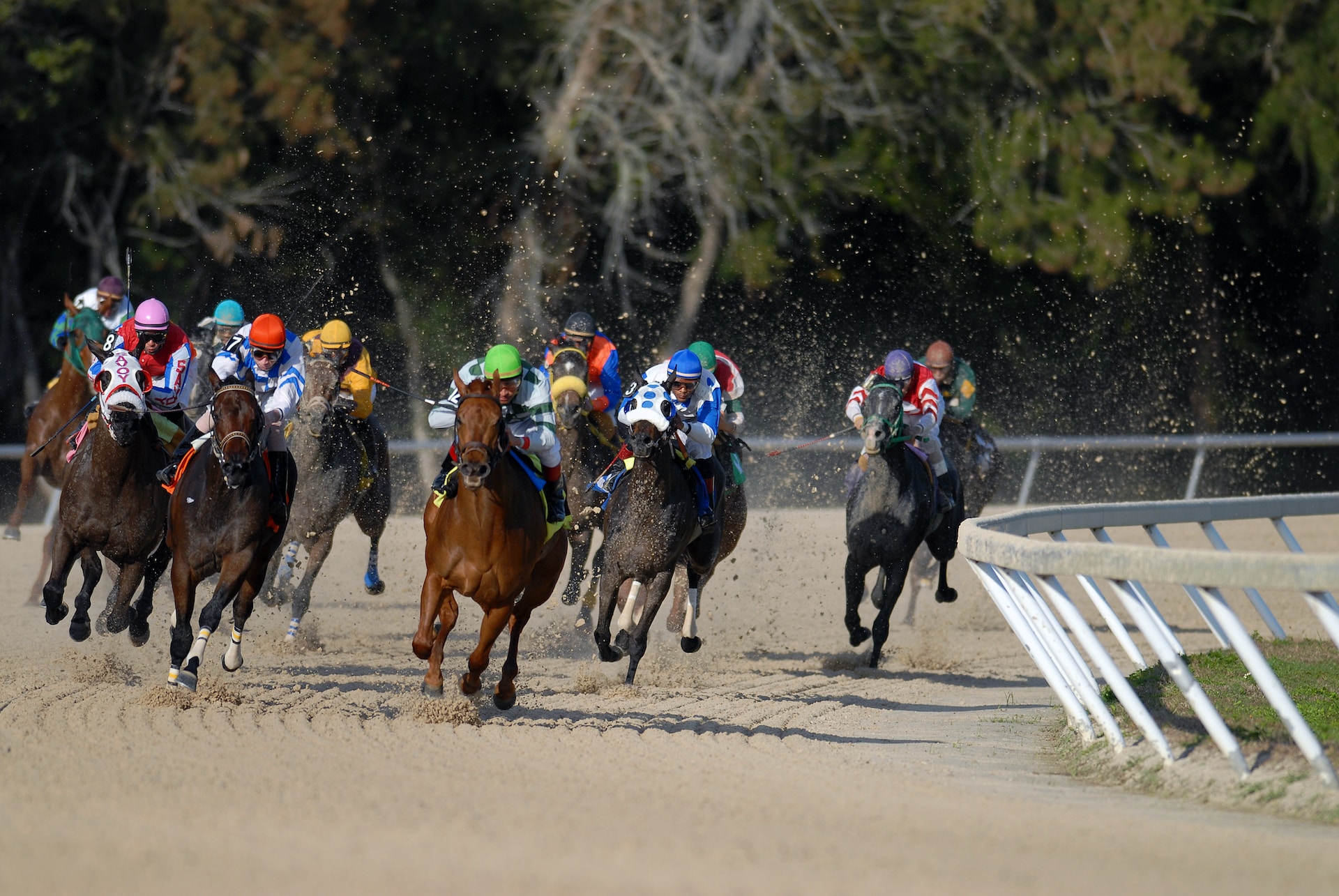 What Is Trifecta In Horse Racing? Unraveling The Intricacies Of A Popular Betting Option