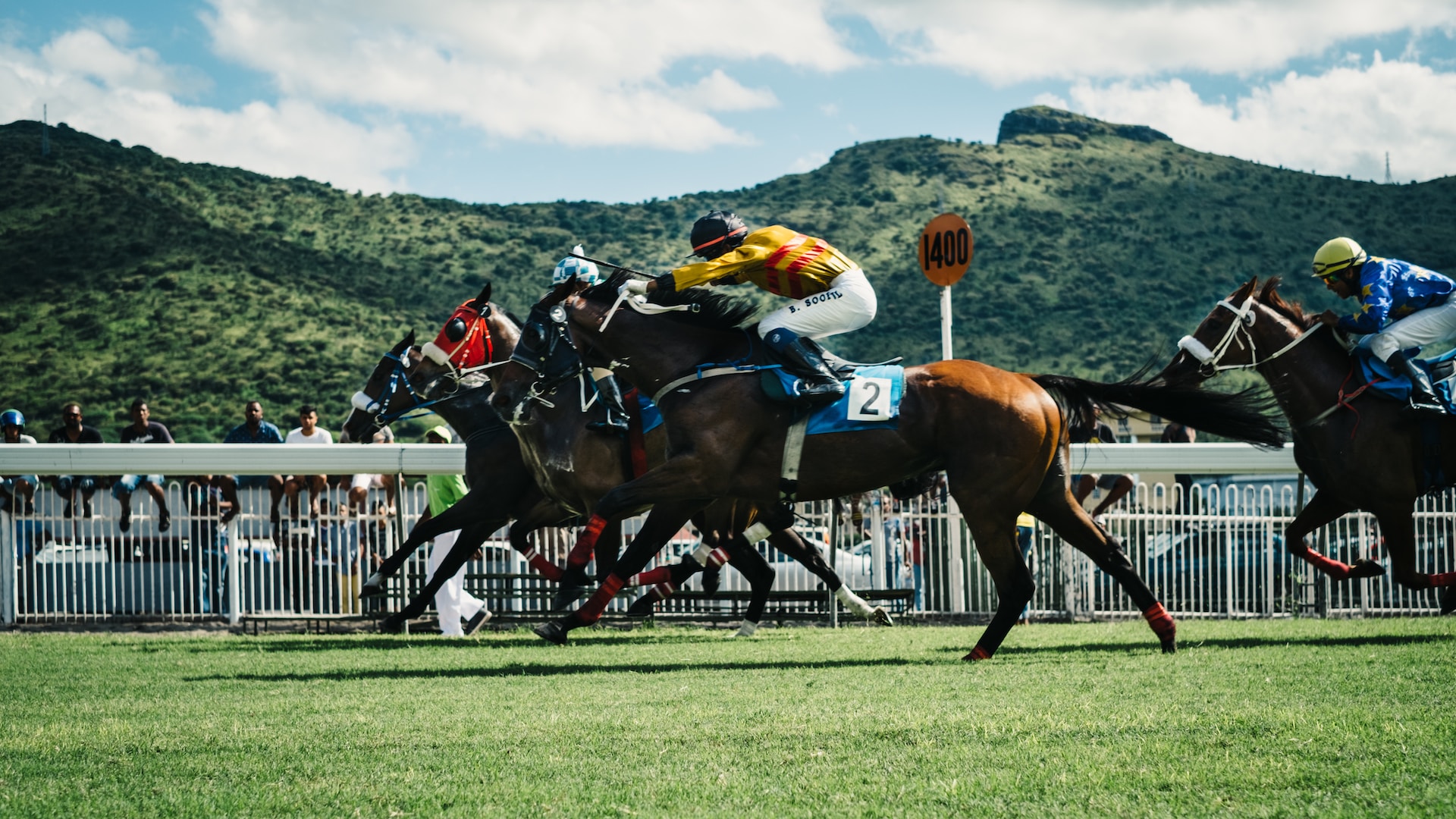 What Is A Quinella Bet? Unlocking The Secret Thrill To Horse Racing
